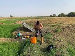 Niger Implements Sahel’s Largest Solar-Powered Irrigation System